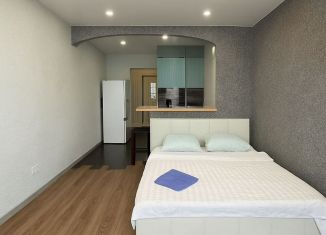 Сдача в аренду квартиры студии, 30 м2, Тула, Новомосковская улица, 10