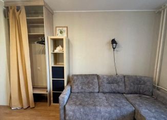 Сдается в аренду квартира студия, 24 м2, Мурино, проспект Авиаторов Балтики, 9к3, ЖК Виктория