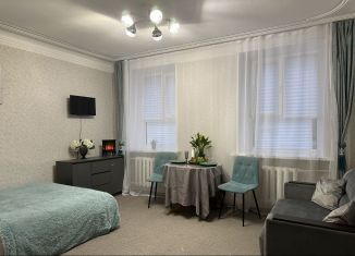 Квартира в аренду студия, 25 м2, Санкт-Петербург, набережная канала Грибоедова, 105