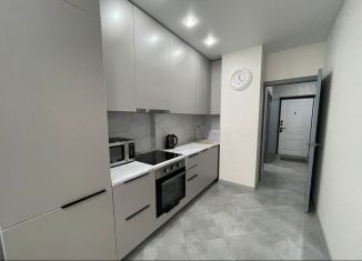 Продаю однокомнатную квартиру, 43 м2, Ростов-на-Дону, Красноармейская улица, 157В/83с2, ЖК Рубин