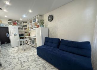 Продам квартиру студию, 23 м2, село Зубово, улица Бориса Перина, 3