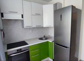 Сдается в аренду однокомнатная квартира, 32.4 м2, Уфа, улица Аксакова, 81