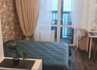 Продаю квартиру студию, 28 м2, деревня Царёво, улица Петра Гаврилова, 26