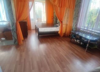 Сдаю в аренду 1-ком. квартиру, 32 м2, Волхов, улица Александра Лукьянова, 22