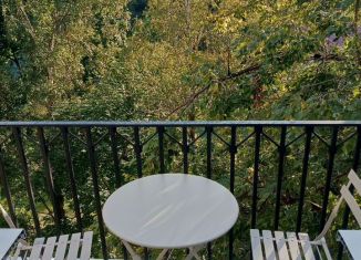 Сдача в аренду 1-ком. квартиры, 45 м2, Санкт-Петербург, улица Беринга, 18