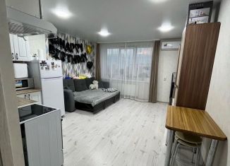 Продается квартира студия, 25.5 м2, Удмуртия, проспект Конструктора М.Т. Калашникова, 11