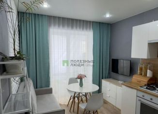 1-комнатная квартира на продажу, 37.4 м2, село Новое Шигалеево, улица Габдуллы Тукая, 27