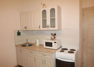 Продам квартиру студию, 24 м2, Санкт-Петербург, Арцеуловская аллея, 23к1