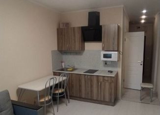 Сдается квартира студия, 24 м2, Республика Башкортостан, улица Шафиева, 44/1