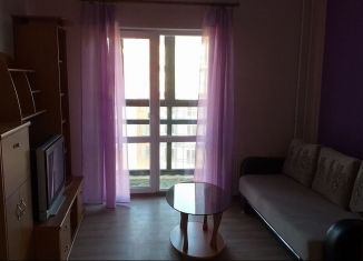 Продажа квартиры студии, 24 м2, деревня Хотицы, Загородная улица, 6кА, ЖК Молодёжный