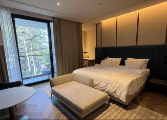 Продам квартиру студию, 35 м2, Сочи, Виноградная улица, 14/1