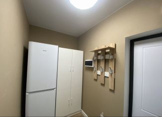 Сдам в аренду квартиру студию, 27.5 м2, поселок городского типа Стройкерамика, улица Николая Симонова, 19