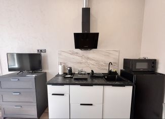 Сдам в аренду квартиру студию, 24 м2, Санкт-Петербург, Ропшинская улица