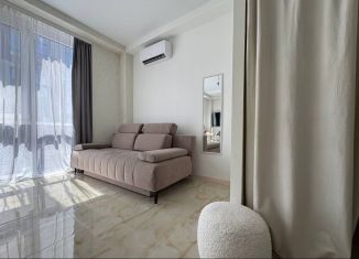 Сдаю в аренду квартиру студию, 24 м2, Сочи, садоводческое товарищество Лысая Гора, 135, микрорайон Светлана