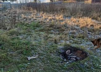 Продается дача, 30 м2, Карелия, посёлок Рантуэ, 2А