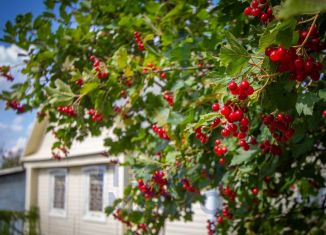 Продам дачу, 30 м2, Республика Башкортостан, СНТ Связист-4, 20