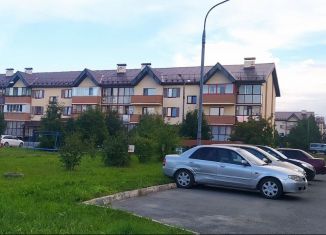 Квартира на продажу студия, 26 м2, посёлок Западный, Раздольная улица, 4