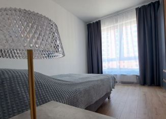 Сдаю однокомнатную квартиру, 33 м2, деревня Новое Девяткино, Главная улица, 8