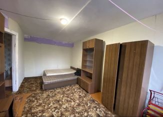 Сдам однокомнатную квартиру, 30 м2, Санкт-Петербург, улица Пограничника Гарькавого, 53к1