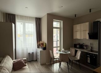 Продаю квартиру студию, 23.8 м2, Кудрово, Солнечная улица, 12, ЖК Айди Кудрово 2