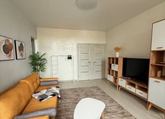 Сдается в аренду двухкомнатная квартира, 48 м2, Санкт-Петербург, улица Александра Невского, 10