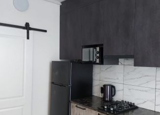 Сдам в аренду двухкомнатную квартиру, 51 м2, Санкт-Петербург, улица Рубинштейна, 24