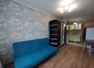 Сдаю квартиру студию, 24.4 м2, Санкт-Петербург, проспект Художников, 33к4