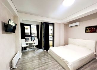 Сдача в аренду квартиры студии, 27 м2, Сочи, Пластунская улица, 104Бк2, микрорайон Заречный