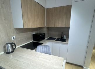 Сдам однокомнатную квартиру, 37 м2, Сочи, улица Яна Фабрициуса, 2/23М, микрорайон Яна Фабрициуса