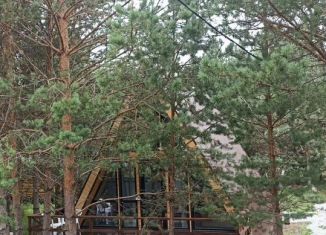 Сдача в аренду дома, 31 м2, деревня Отнурок, Сосновая улица