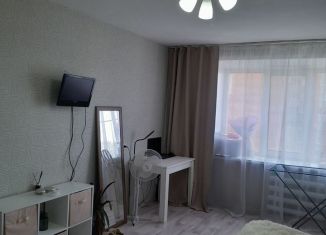 1-комнатная квартира на продажу, 29.2 м2, Нижний Новгород, улица Дружаева, 17, Автозаводский район