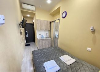 Сдача в аренду квартиры студии, 12 м2, Санкт-Петербург, Литейный проспект, 61