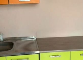 Однокомнатная квартира в аренду, 30 м2, Сочи, садовое товарищество Соболь, 102, микрорайон Соболевка