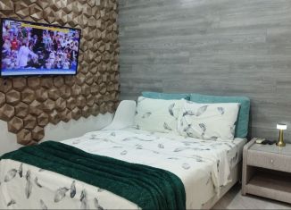 Сдается квартира студия, 33 м2, Сочи, Виноградная улица, 4, микрорайон Новый Сочи