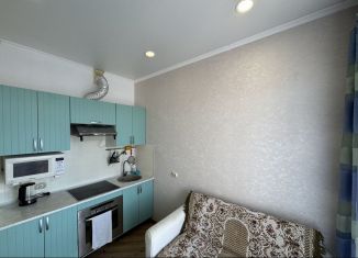 Аренда однокомнатной квартиры, 28 м2, Сочи, Православная улица, 15/7А, микрорайон Энергетик-Изумруд