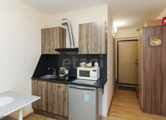 Продаю квартиру студию, 15.9 м2, Тюмень, улица Новосёлов, 115