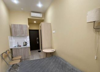 Квартира в аренду студия, 12 м2, Санкт-Петербург, Литейный проспект, 61