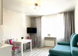 Продается квартира студия, 25.5 м2, Чебоксары, Привокзальная улица, 4