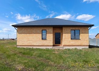 Продам дом, 95 м2, деревня Азьмушкино, Гостеприимная улица, 346