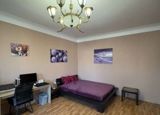 1-ком. квартира в аренду, 45 м2, Санкт-Петербург, Прачечный переулок