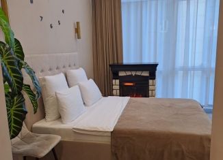 Продажа квартиры студии, 28 м2, Сочи, Навагинская улица, 11А, микрорайон Центральный