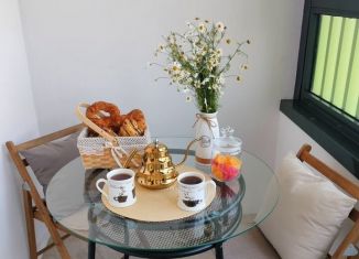 Сдаю квартиру студию, 27 м2, Воронеж, ЖК Россия - Пять столиц, улица Загоровского, 1