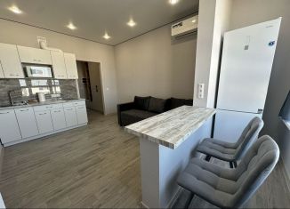 Квартира в аренду студия, 22 м2, Майкоп, улица К.А. Васильева, 1к3