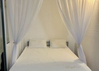 Сдам в аренду однокомнатную квартиру, 56 м2, Геленджик, улица Нахимова, 2