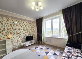 Сдаю 1-комнатную квартиру, 28 м2, Сочи, улица Цюрупы, 34, микрорайон Новый Сочи