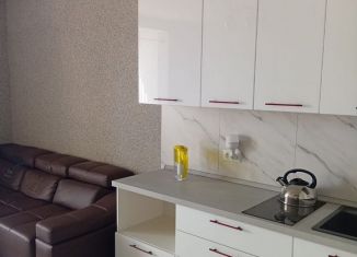 Продажа квартиры студии, 30.5 м2, Сочи, Виноградная улица, 22/1Б, микрорайон Новый Сочи