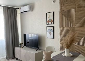 Продам квартиру студию, 30 м2, Ростов-на-Дону, улица Юрия Дубинина, 9, ЖК Суворовский