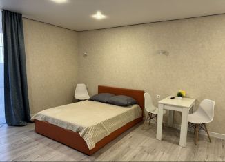 Сдам квартиру студию, 40 м2, Ростов-на-Дону, улица Оганова, 20с5, ЖК Сокол на Оганова