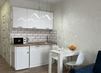 Сдача в аренду квартиры студии, 28 м2, Оренбургская область, улица Автомобилистов, 13