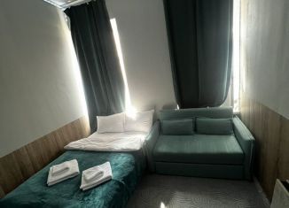 Аренда квартиры студии, 20 м2, Санкт-Петербург, Гончарная улица, 11А